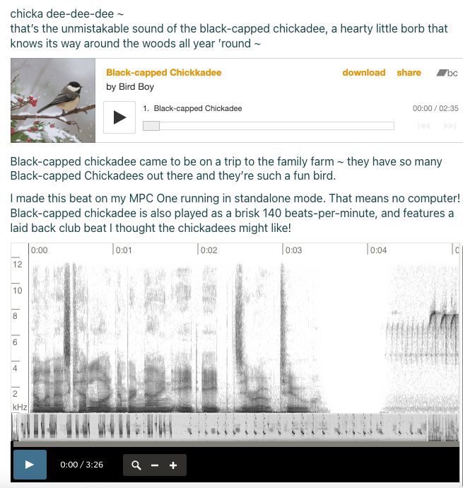 a screenshot of birdboy.com, featuring an embeded bandcamp music player, a short description of the song, and an interactive sample player that shows the recording used in my song