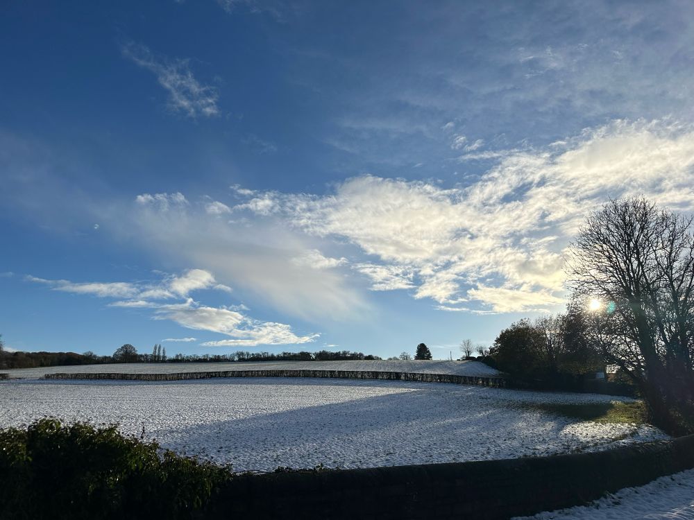 Pic shows a blue sky with thin white clouds above a snow covered field. There is a bare tree on the right hand side of the picture and the sun is low in the sky, also on the right hand side.