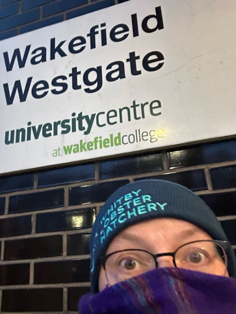 Photograph of me, wearing a hat that says ‘Whitby Lobster Hatchery’ and a purple scary pulled over my nose so only my eyes are visible. Behind me is a sign that says ‘Wakefield Westgate’.
