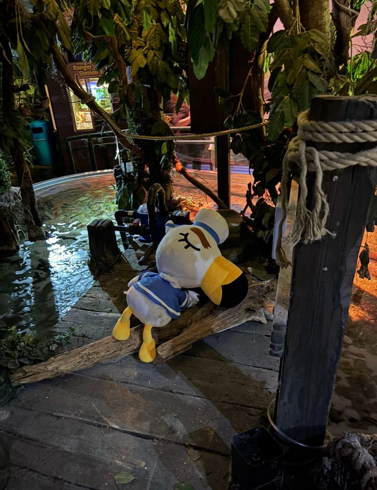 Gulliver plushie above a fish tank at the sealife x animal crossing event  