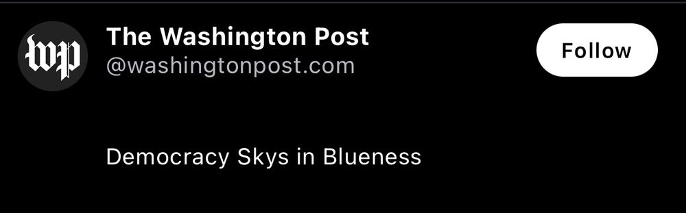 Washington Post bluesky bio reads “Democracy Skys in Blueness”