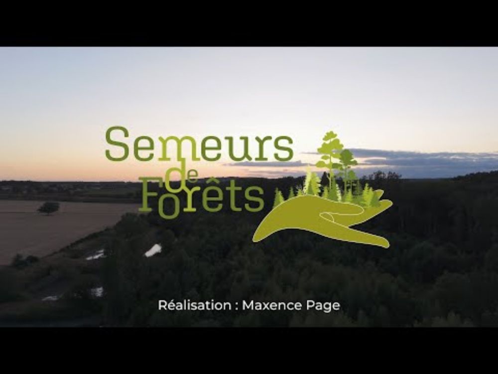 🌿 Semeurs de Forêts : La nature reprend ses droits 🌿