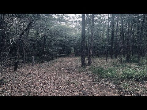 suffering, with lyrics (Amélie Farren)