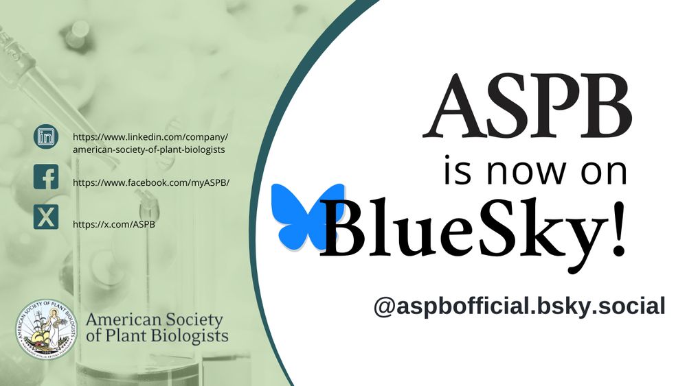 Image Text: ASPB is now on BlueSky! @aspbofficial.bsky.social. Featuring ASPB logo and social media account URLs, on a plant science themed background