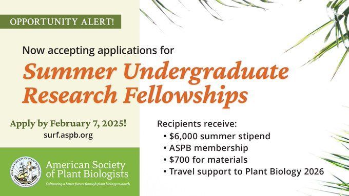 Image text: Opportunity Alert! Now accepting applications for Summer Undergraduate Research Fellowships. Apply by February 7, 2025! Recipients receive: $6000 summer stipend, ASPB membership, $700 for materials, Travel support to Plant Biology 2026. Featuring ASPB logo on a plant themed background.