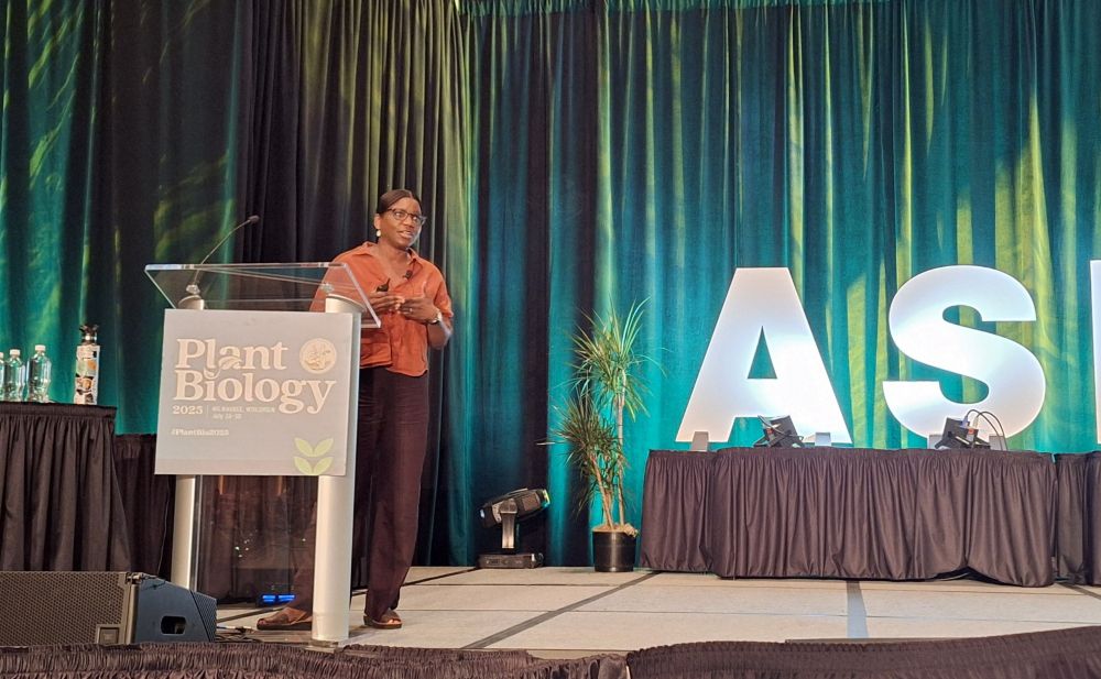 A person stands behind a podium on a stage.