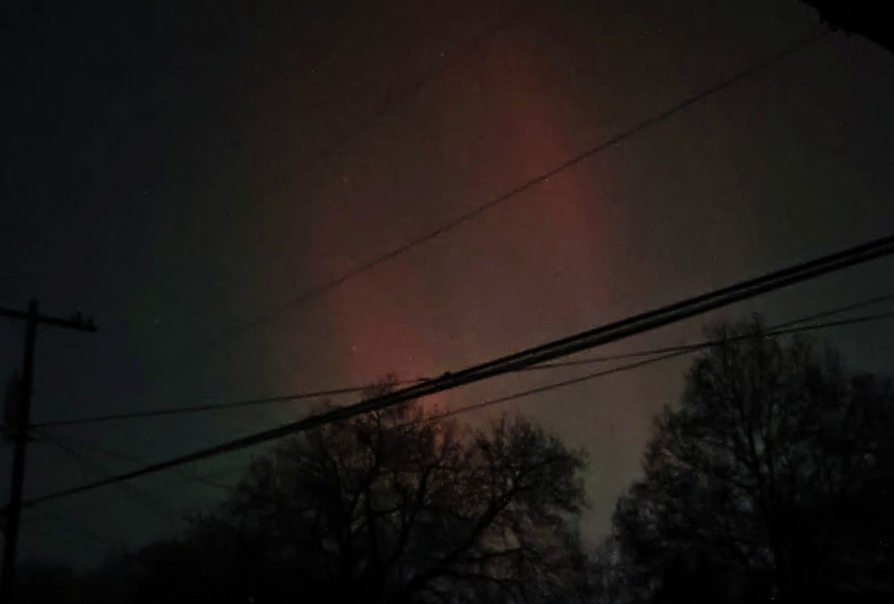 Power lines and trees with a faded reddish orange glow in the background 