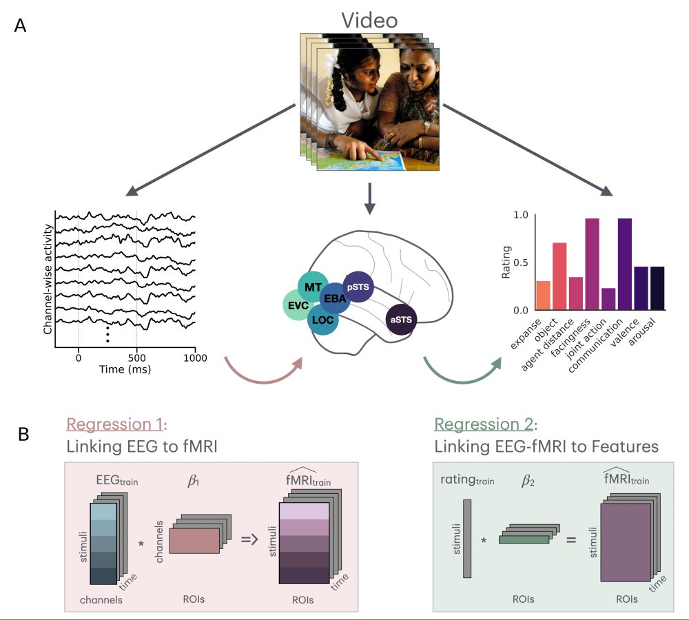 Shown is an example image that participants viewed either in EEG, fMRI, and a behavioral annotation task. There is also a schematic of a regression procedure for jointly predicting fMRI responses from stimulus features and EEG activity. 