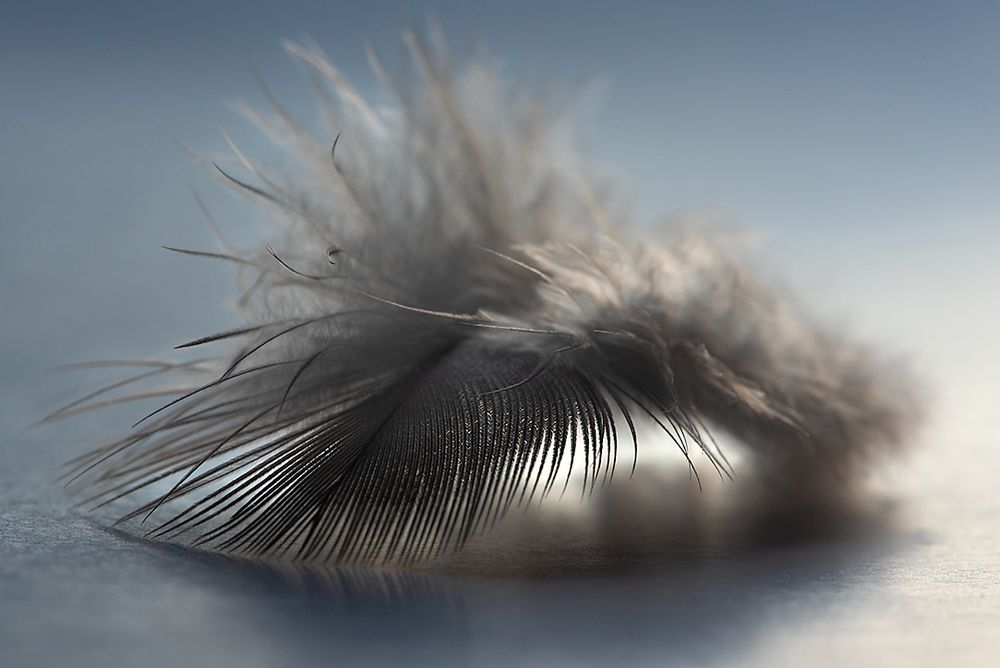 Kunstroute Leiden weekend 27 en 28 september met fotografie.