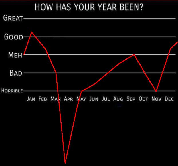 Jan: Meh to good. Started out alright, new chapter of my life began, but one that would end up doing far more harm than good. I just don't know it yet and I'm blissfully ignorant.
Feb: Life is starting to get to me. I feel okay, but my conditions are wearing on me and I'm yet to realize how bad my mental health will suffer.
Mar: Bad, realizing I'm in a decline and need to get out of my current situation ASAP, but there isn't a safe way out.
Apr: Failed to get out of my situation soon enough. Feeling beyond horrible, dipping well below the chart. I had a severe mental breakdown, had dangerous thoughts, resorted to SH, began therapy for the first time in ten years. It was not pretty.
May: Situation improved, my mental state didn't. Still feeling horrible.
Jun: Things are slowly recovering, but not by much.
Jul: My mental health is slowly improving and I'm seeing loved ones again for the first time in years, which is helping, but still not doing too good.
Aug: Approaching meh, but still below average. Mental health still not recovered.
Sep: Mental health returns to mid. Not exactly great, but I'm getting there.
Oct: A lot of minor inconveniences pile up. The stress of life is hurting those around me, which by extension is hurting me.
Nov: WHAT THE FUCK IS WRONG WITH THIS COUNTRY, ARE YOU OUT OF YOUR MINDS
Dec: Actually having a good time for the first time since the beginning of the year. My mental health is still not recovered, but the support from two people in particular has allowed me to at least feel okay for now.