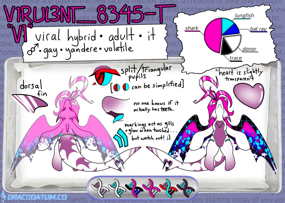 A ref sheet of a shark hybrid anthro. it is laid out over a dissection tray.