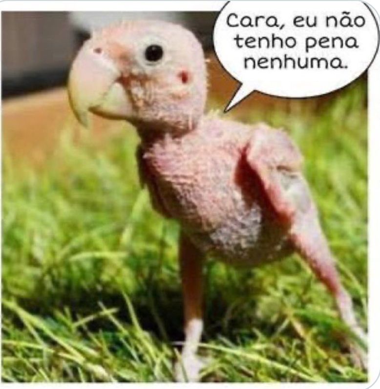 Comment image