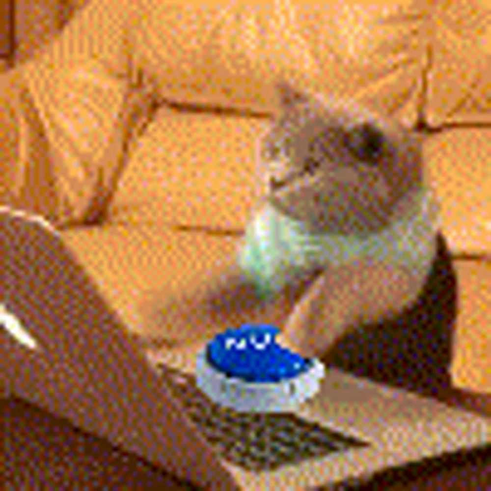 a cat is sitting on a couch playing with a toy