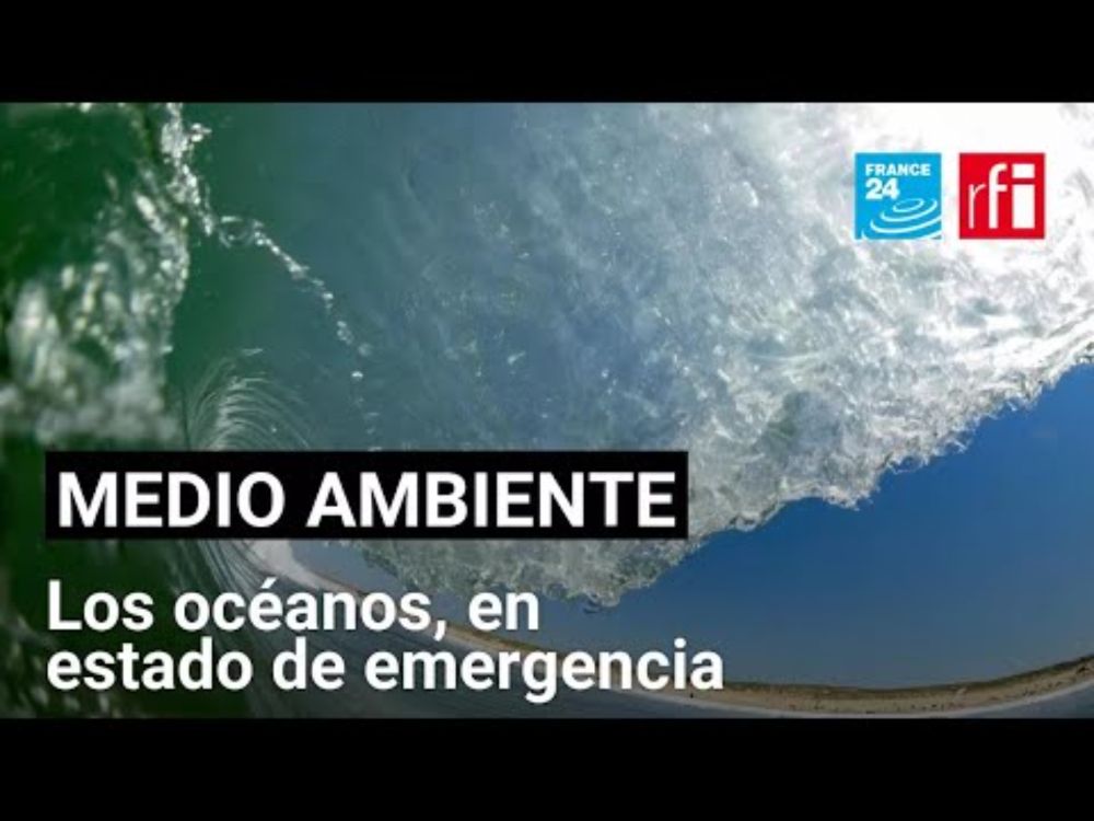 La salud de los océanos se debate en Niza • FRANCE 24 Español