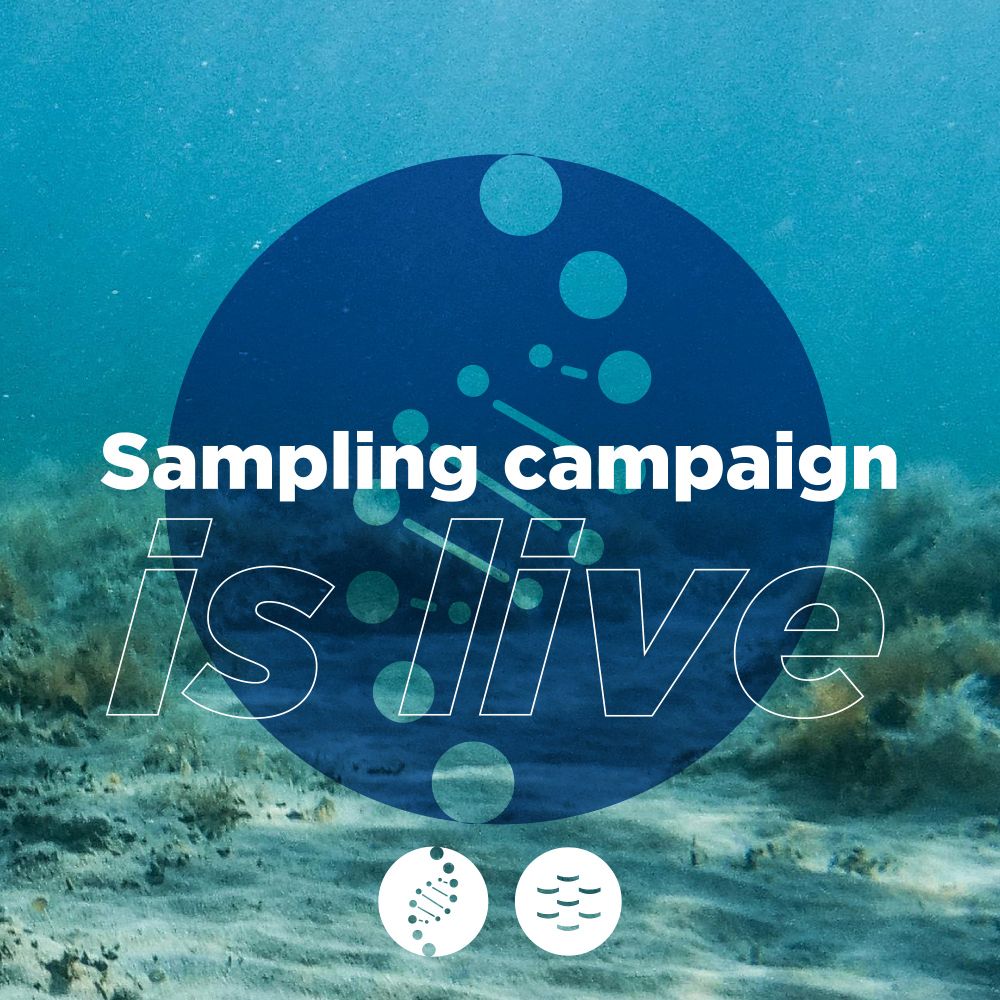 text: EMO BON sampling campaign is live
Background: Seabed