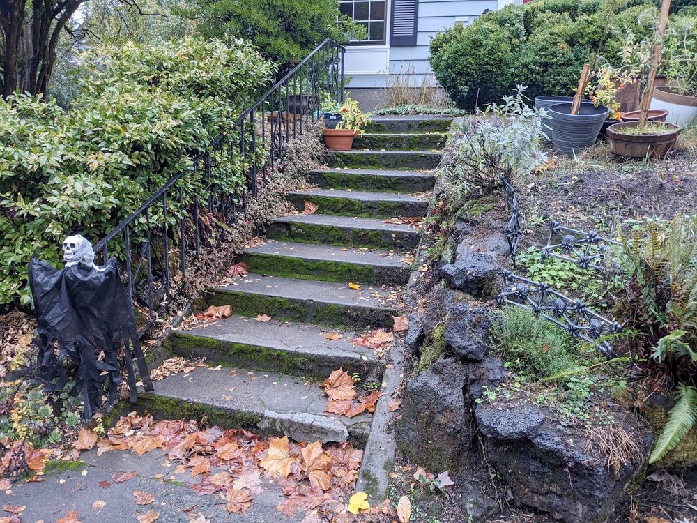 A drippy autumnal scene, featuring concrete front steps with some soggy dead leaves. A stone wall sporting some spooky faux-iron fencing is on the right, and a smallish black-draped ghoul is attached to the railing on the left. There are some bedraggled plants in pots farther up the steps. 