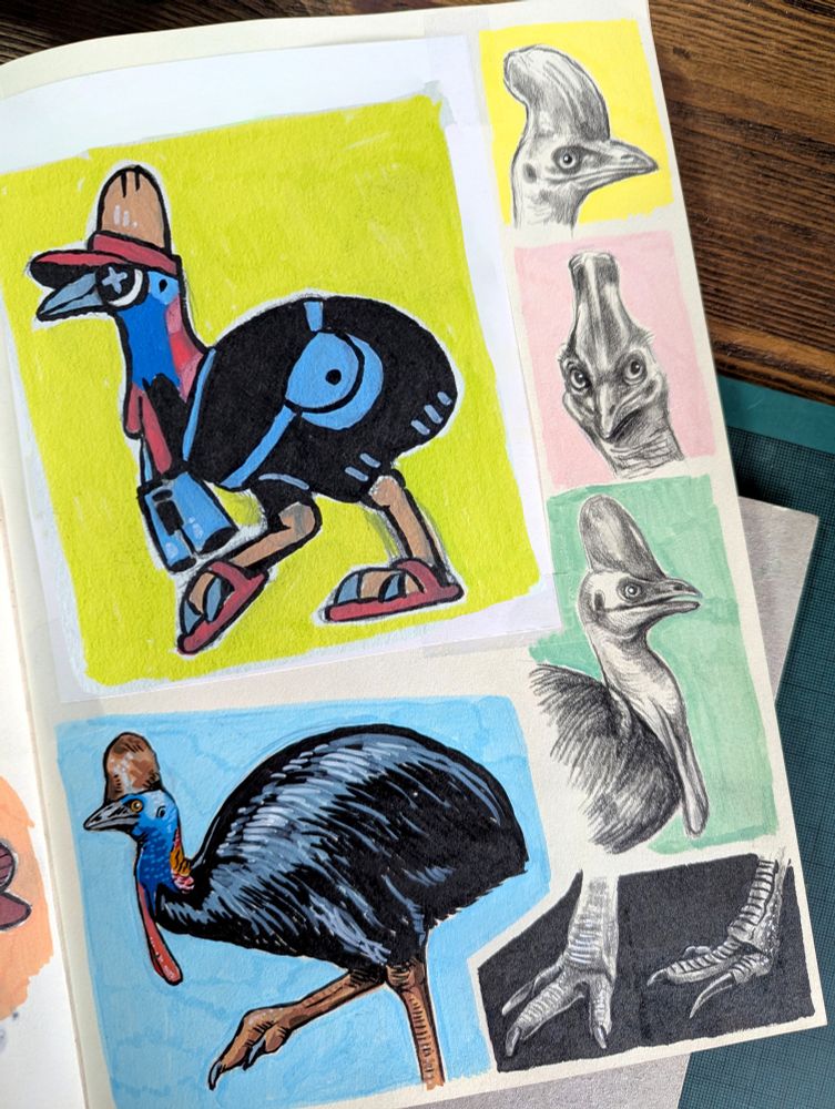 Sketchbook page of cassowary art 🐡