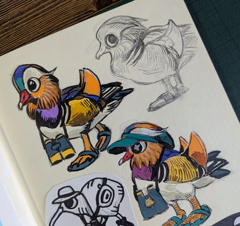 Mandarin duck sketchbook page 🎨