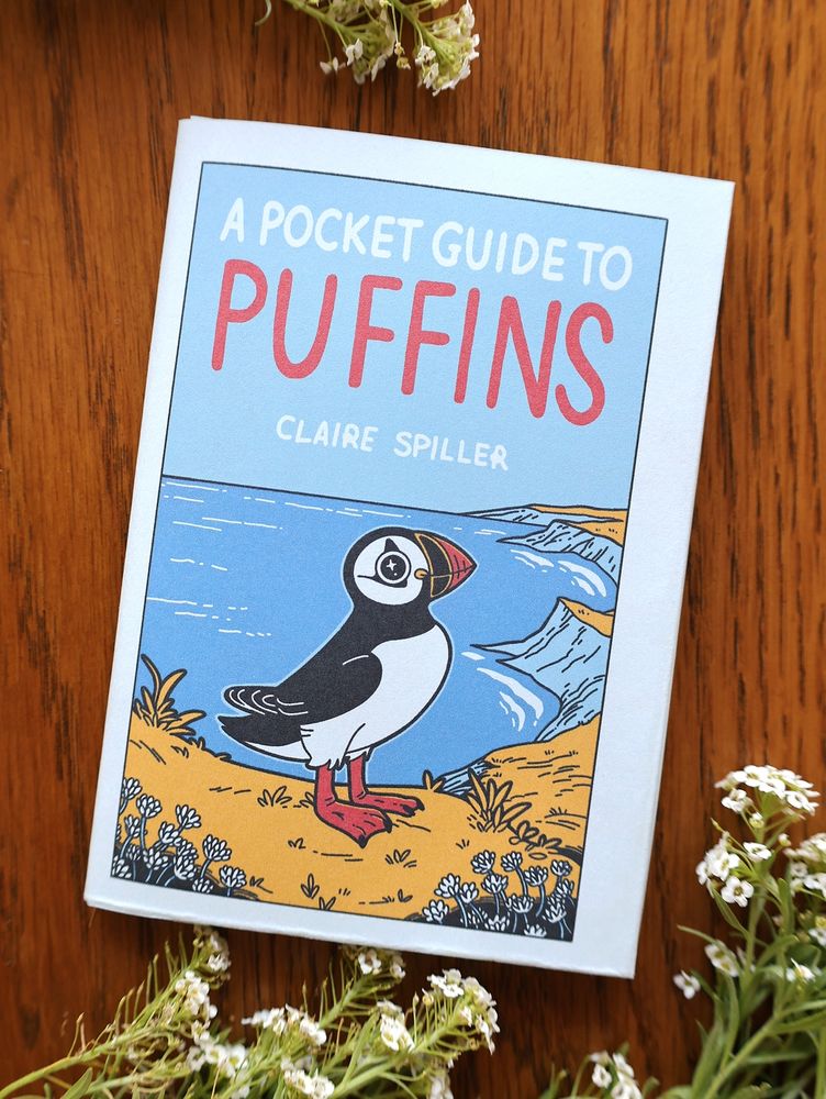 A pocket guide to puffins handmade mini zine