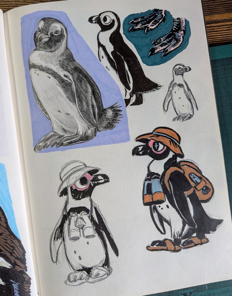 African penguin sketchbook page
