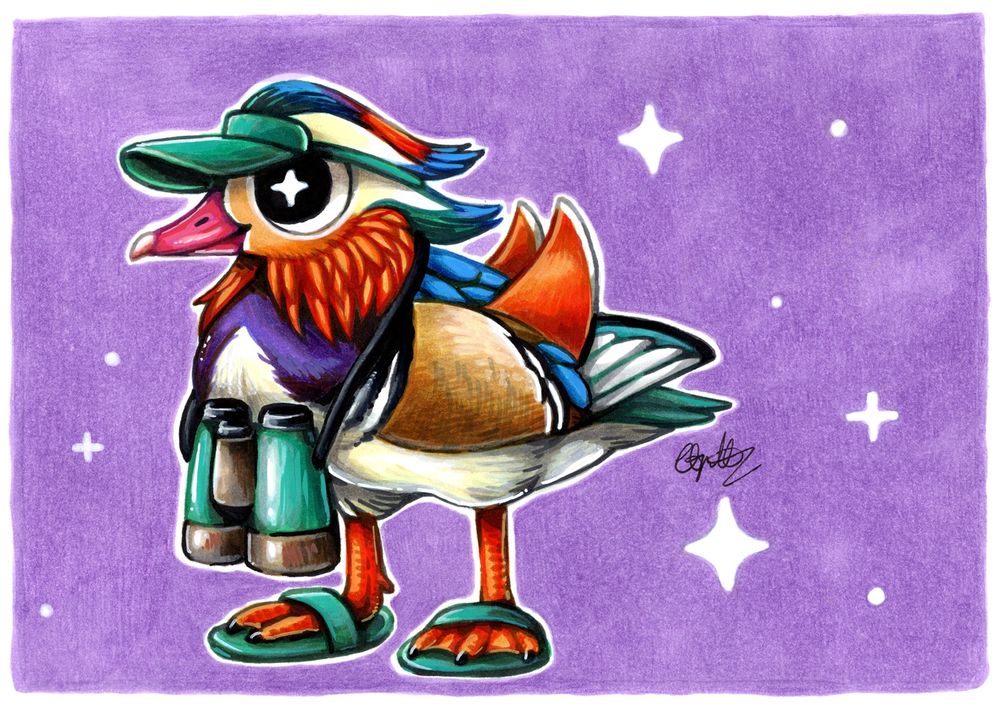 Mandarin duck birdwatching illustration 