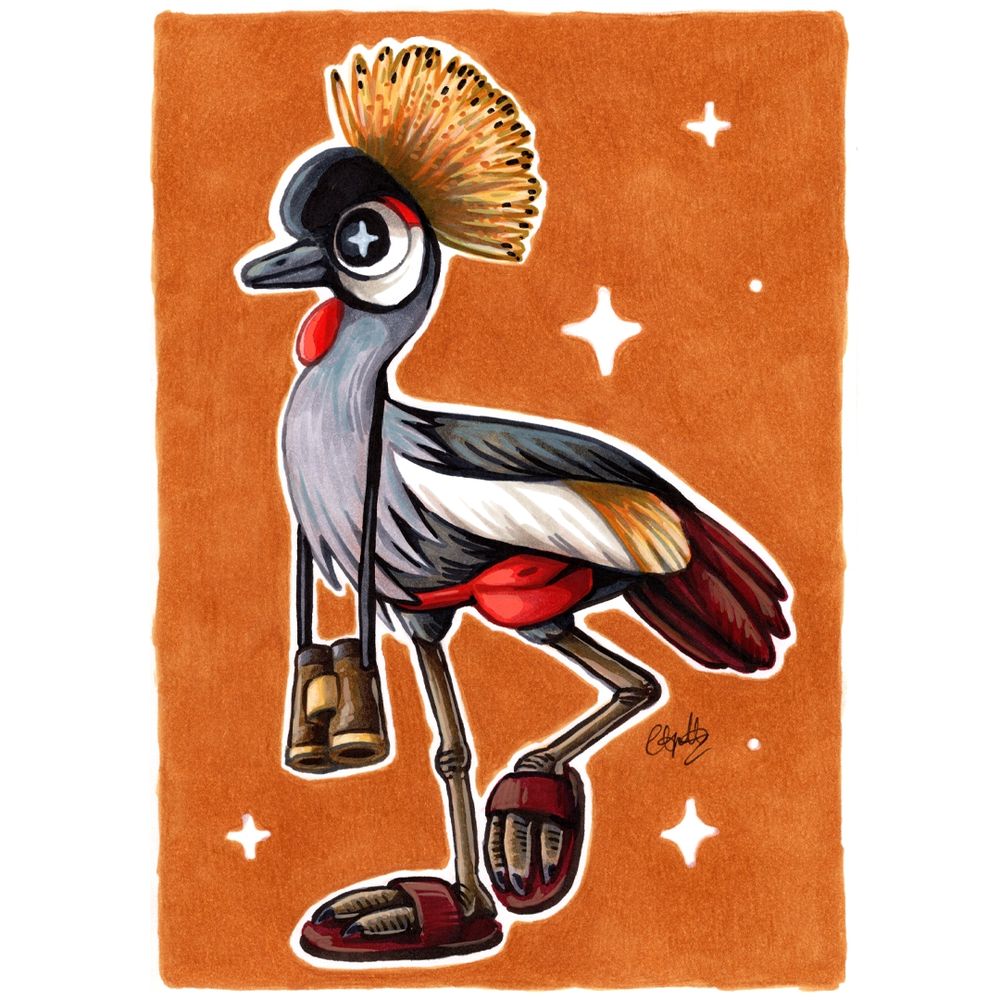 Grey crowned crane illustration 