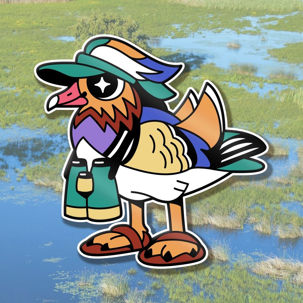 Mandarin duck birdwatching enamel pin design 🪶