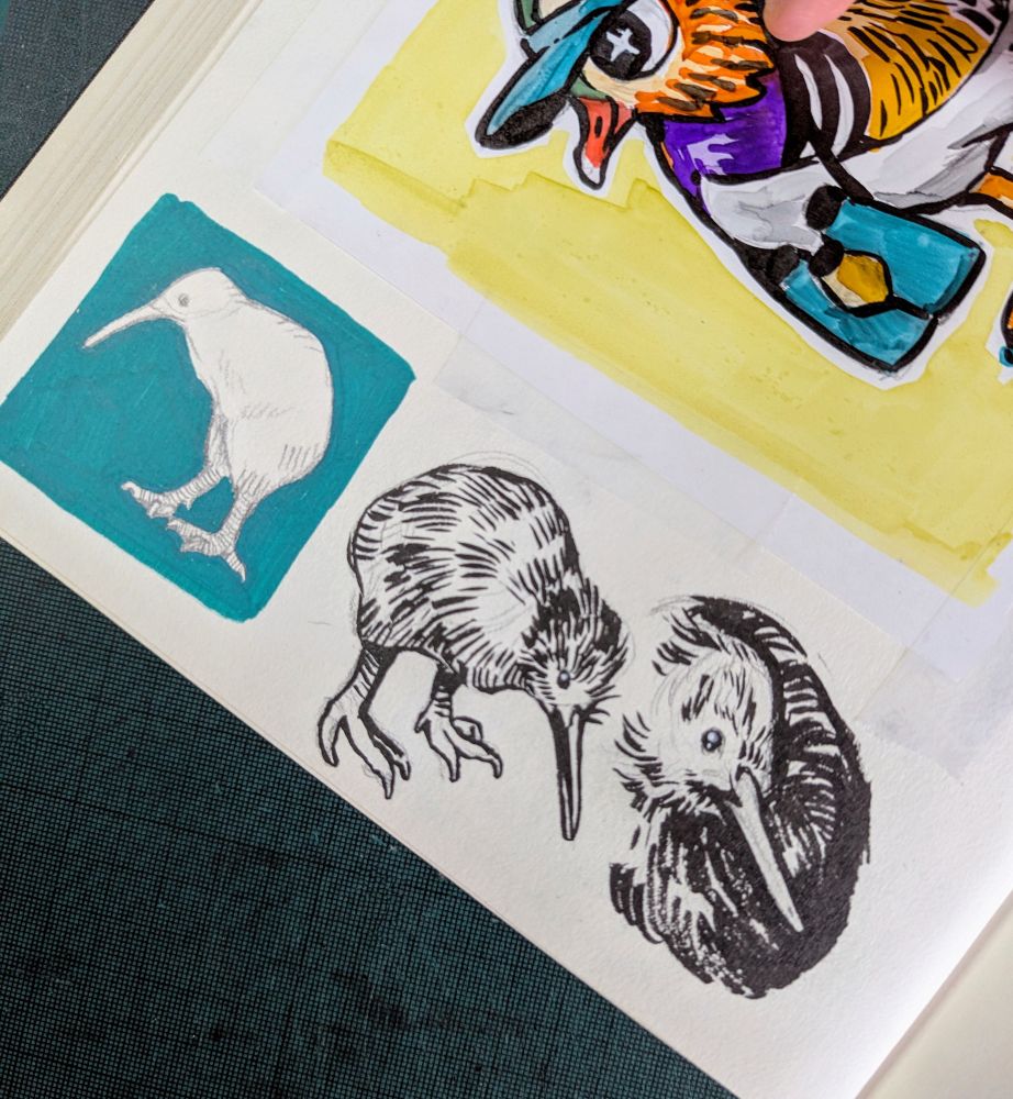 Kiwi sketches
