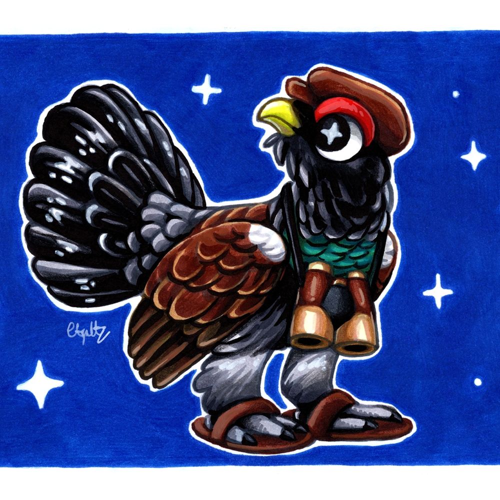 Capercaillie going birdwatching original illustration 