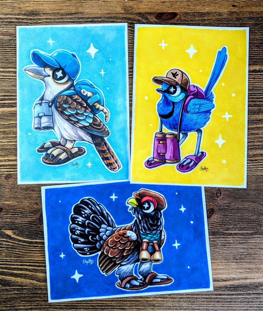 Kookaburra, splendid fairywren and capercaillie going birdwatching illustrations