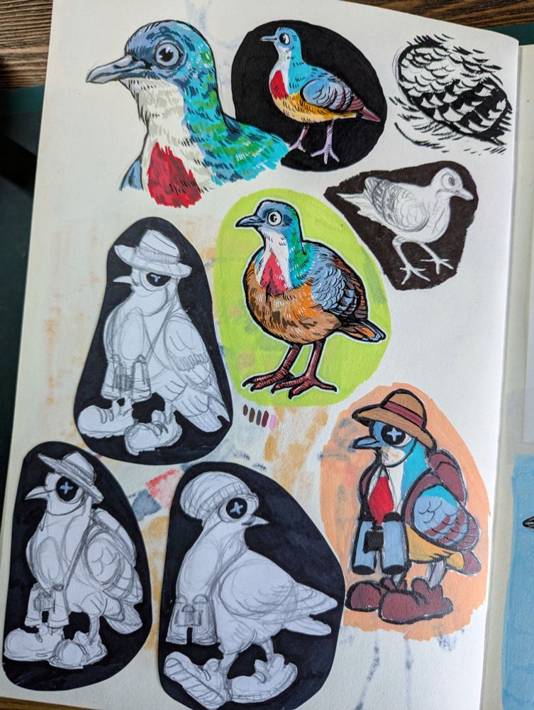Sketchbook page of Mindanao bleeding-heart doves 🐡