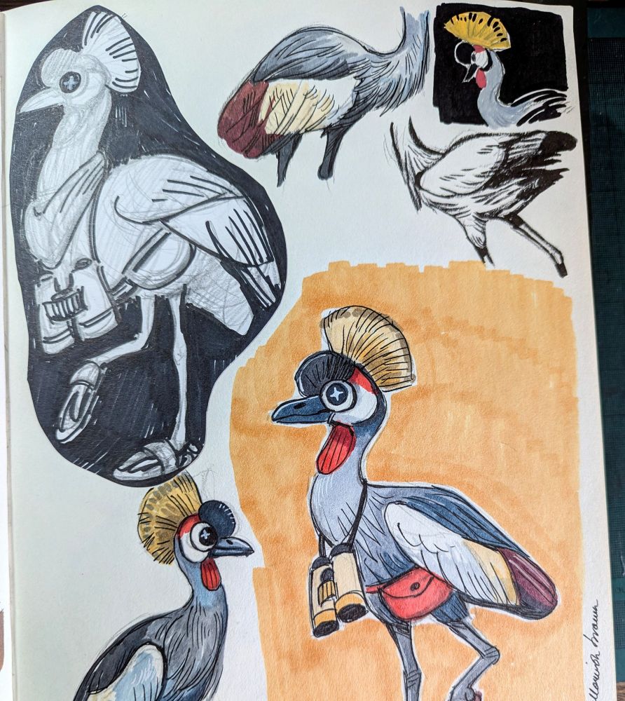 Sketchbook page of grey crowned cranes 