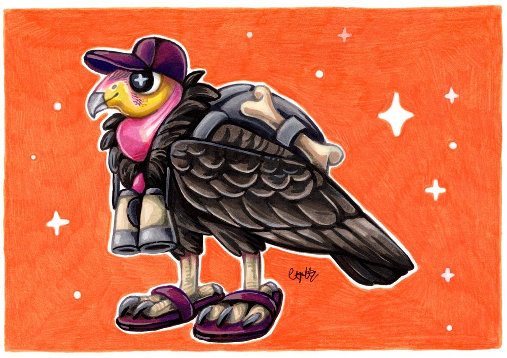 California condor going birdwatching illustration 