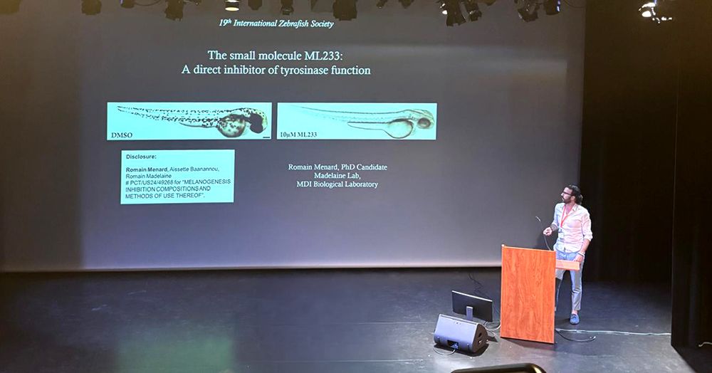 person talking on a stage, image courtesy of Romain Menard