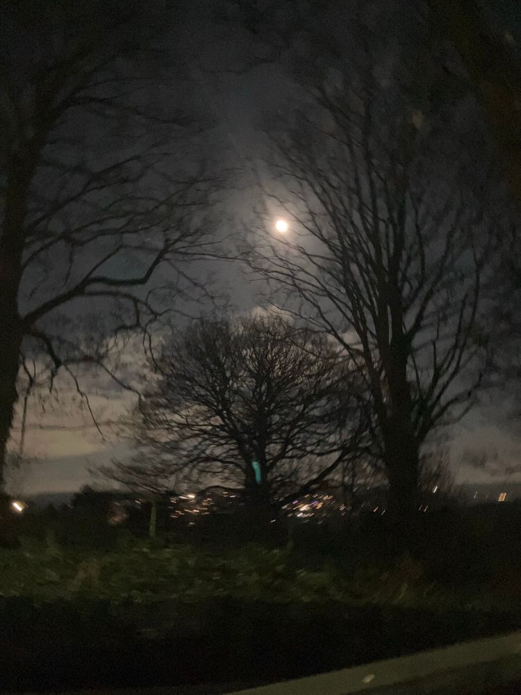 An almost- full moon, through winter trees…