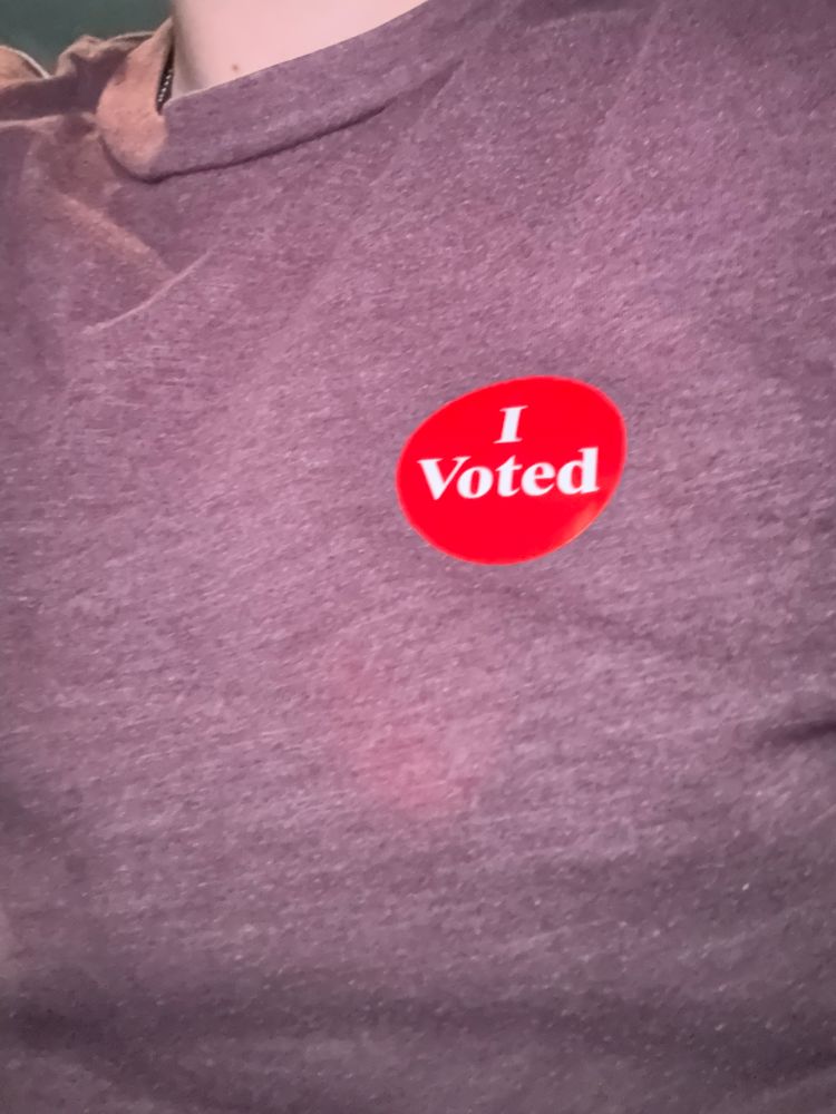 Picture of me voted stick