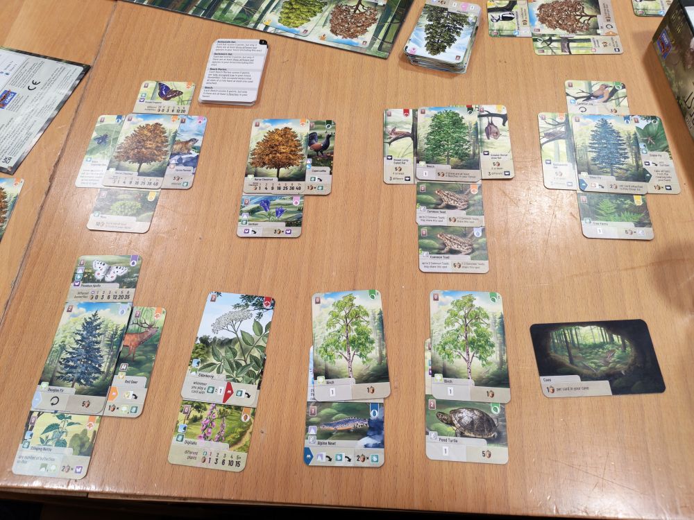 Photo of the boardgame Forest Shuffle being played