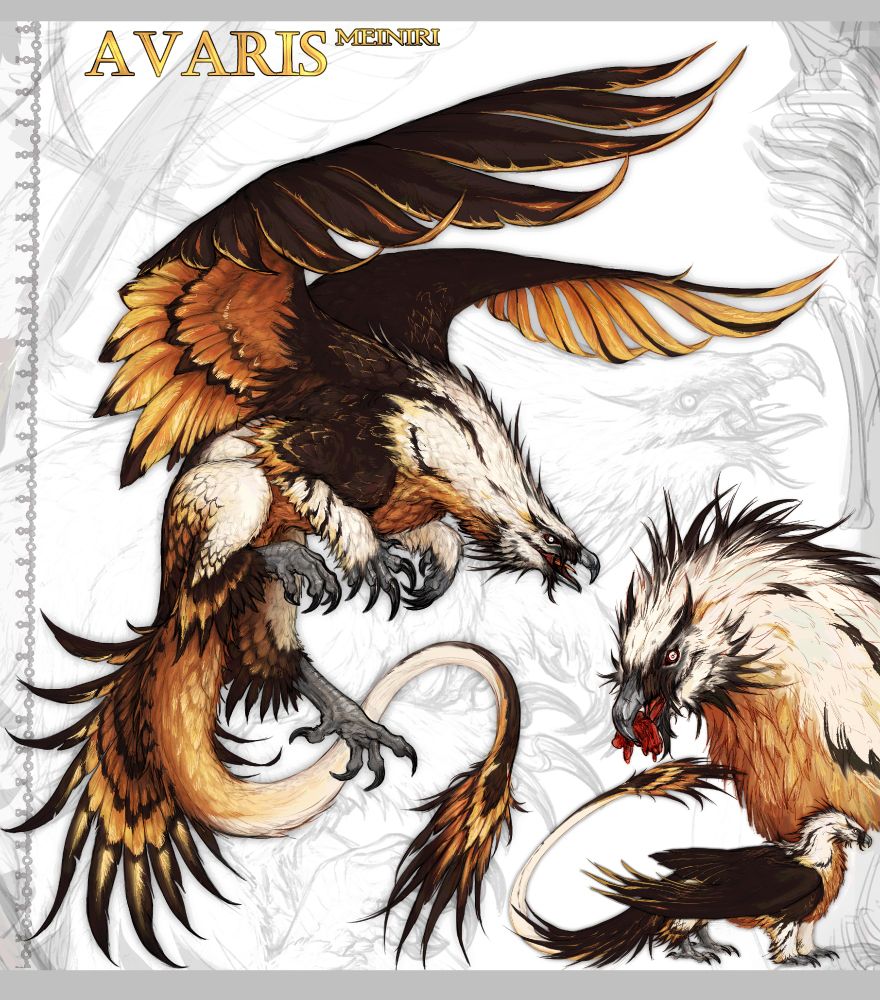 
#design #digitalart #art #creature #gryphon #griffin #fantasy #dnd #characterdesign  #customcommission #beast 