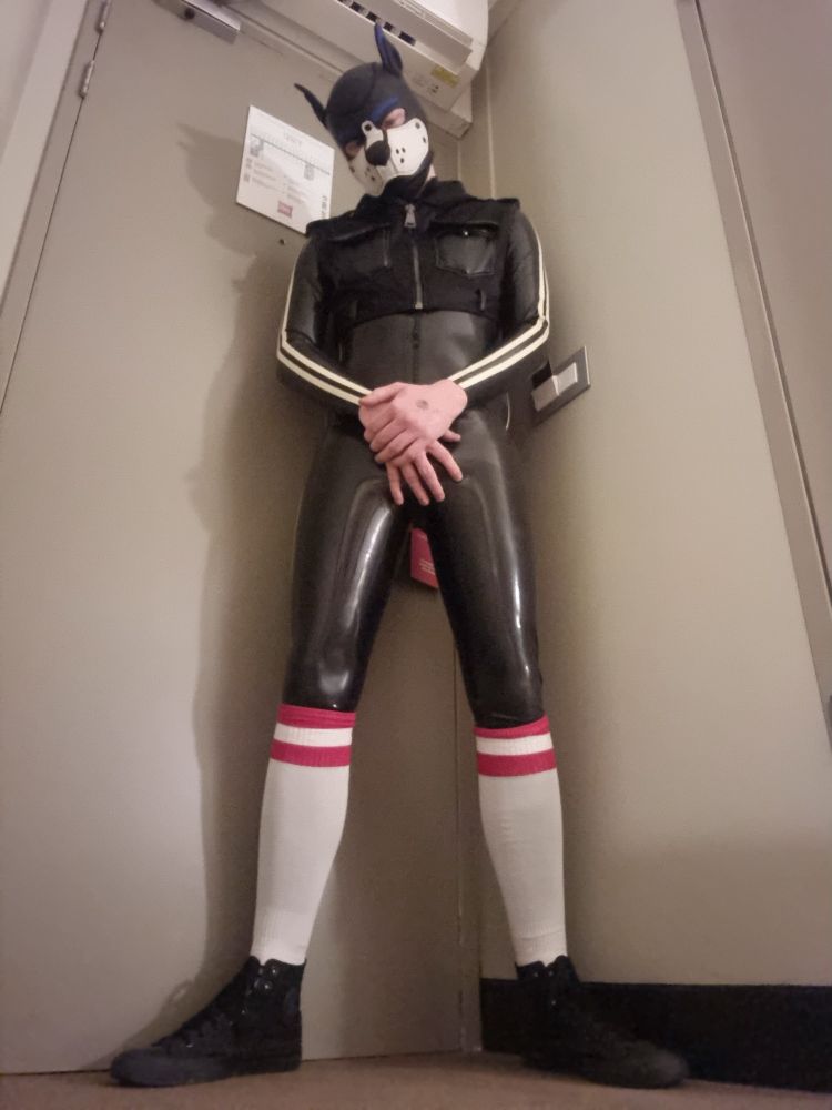 Blue+white fyre hood. White and red socks over a latex catsuit with converse shoes. Wearing a leather effect crop top.