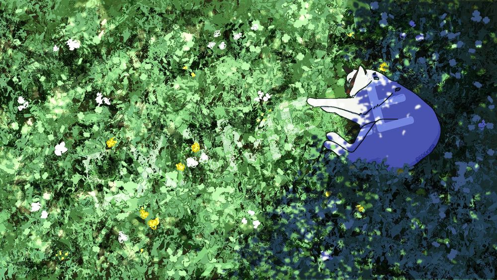 A cat sleeping in a field of clover.
