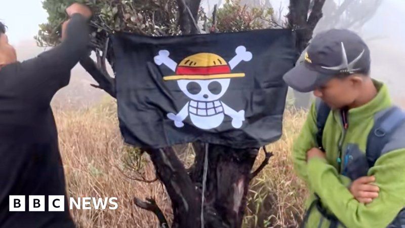 One Piece: How a cartoon skull became a symbol of defiance in Indonesia

