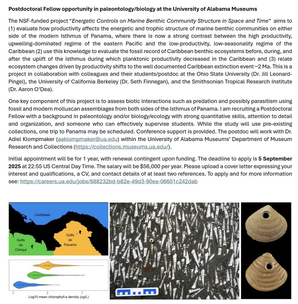 Postdoctoral Fellow opportunity. The NSF-funded project “Energetic Controls on Marine Benthic Community Structure in Space and Time”  aims to (1) evaluate how productivity affects the energetic and trophic structure of marine benthic communities on either side of the modern Isthmus of Panama, where there is now a strong contrast between the high productivity, upwelling-dominated regime of the eastern Pacific and the low-productivity, low-seasonality regime of the Caribbean (2) use this knowledge to evaluate the fossil record of Caribbean benthic ecosystems before, during, and after the uplift of the isthmus during which planktonic productivity decreased in the Caribbean and (3) relate ecosystem changes driven by productivity shifts to the well documented Caribbean extinction event ~2 Ma. This is a project in collaboration with Ohio State U, UC Berkeley, and STRI.
One key component of this project is to assess biotic interactions such as predation and possibly parasitism using fossil and modern molluscan assemblages from both sides of the Isthmus of Panama. I am recruiting a Postdoctoral Fellow with a background in paleontology and/or biology/ecology with strong quantitative skills, attention to detail and organization, and someone who can effectively supervise students. Conference support is provided. The postdoc will work with Dr. Adiel Klompmaker (aaklompmaker@ua.edu) within the University of Alabama Museums’ Department of Museum Research and Collections (https://collections.museums.ua.edu/). 
Initial appointment will be for 1 year, with renewal contingent upon funding. The deadline to apply is 5 September 2025 at 22:55 US Central Day Time. The salary will be $56,000 per year. Please upload a cover letter expressing your interest and qualifications, a CV, and contact details of at least two references. To apply and for more information see: https://careers.ua.edu/jobs/688232bd-b82e-49d3-90ea-06601c242dab 
