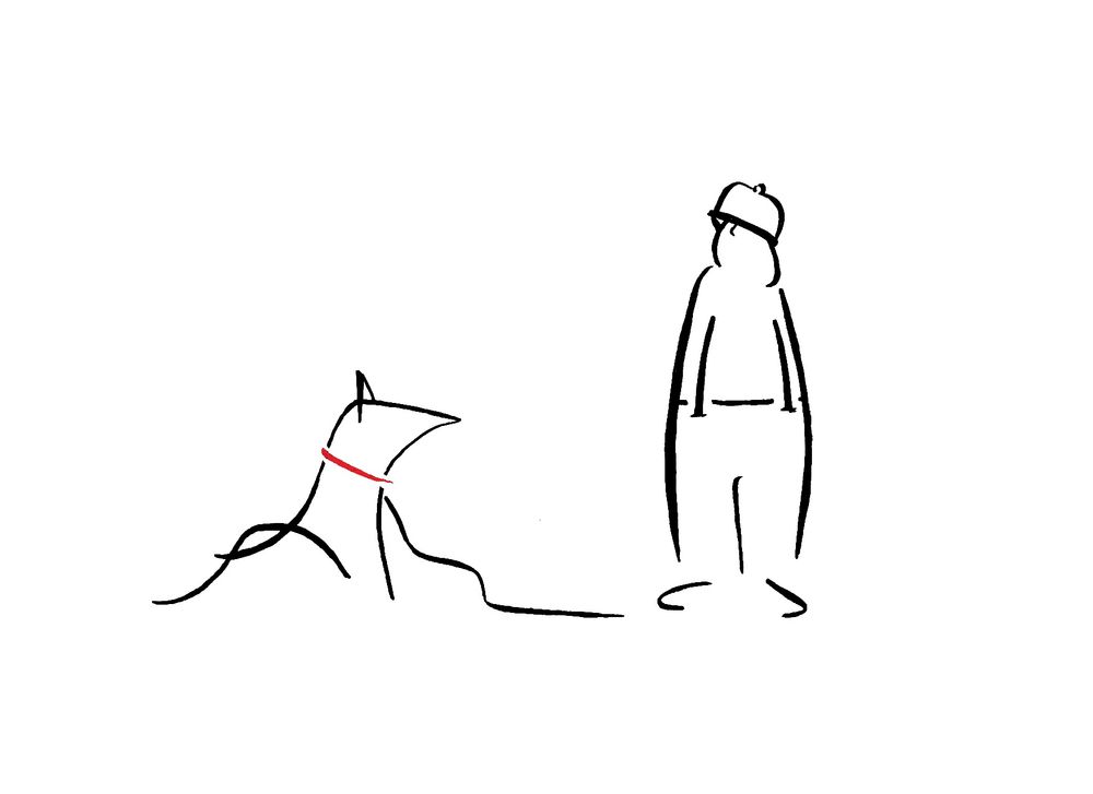 Comment image