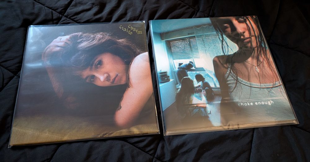 Charm by Clairo and choke enough by Oklou on vinyl.