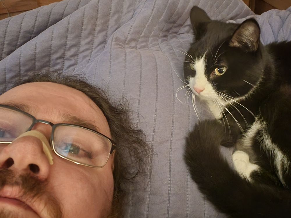 A bearded man with glasses lying next to a tuxedo shoet hair cat