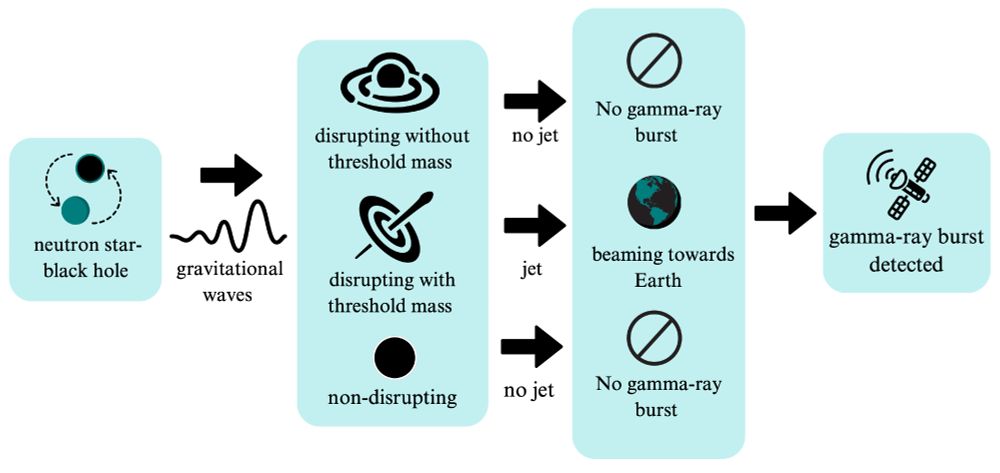 Figure 1 from https://arxiv.org/abs/2411.07035
 Schematic explaining the possible fates of an NSBH merger, depending on the binary parameters. We are interested
in answering the question: what threshold remnant baryonic mass is required to launch a GRB jet? We consider the remnant
mass and orientation of the system as the two requirements to measure a GRB from an NSBH merger. 
