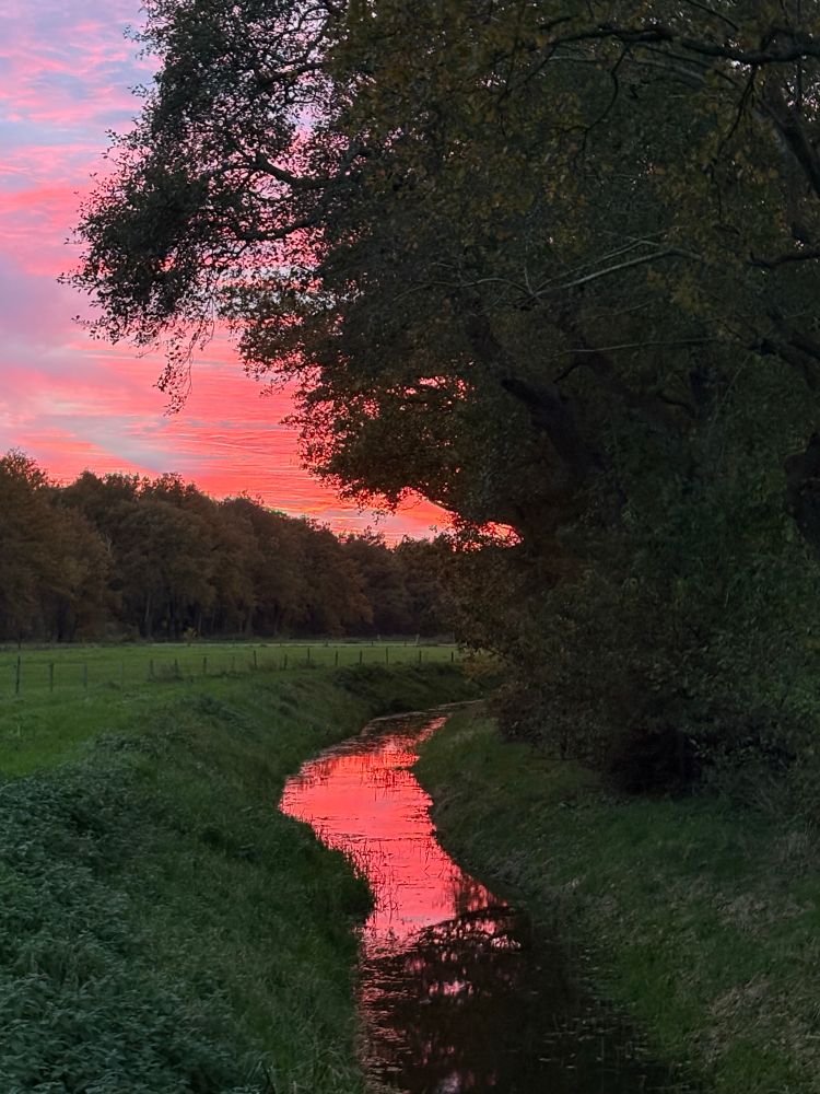 Landschap met een klein kronkelend beekje dat door een groene weide stroomt. Rechts staan grote bomen met dichte bladeren, waarvan de toppen deels silhouet zijn tegen de lucht. De hemel is gevuld met spectaculaire roze en oranje tinten van een ondergaande zon, en deze kleuren weerspiegelen intens in het water van het beekje. Links zie je het open veld, omheind met een houten afrastering. Aan de horizon begint een bos. Het geheel straalt een serene sfeer uit, typisch voor een mooie avondschemering op het platteland.