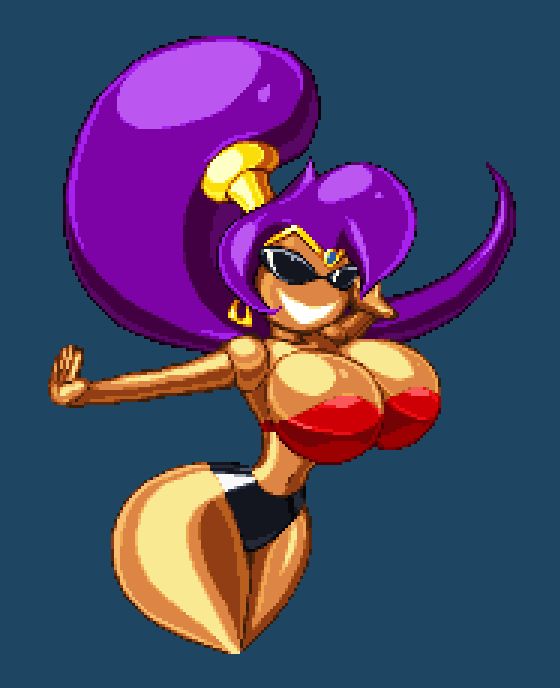 Shantae as a Sunny Miami knick knack with large boobs and hips.
