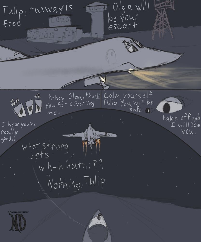 4 panel comic page. the first comic has a Tu-160 named Tulip on the runway looking anxious. text from tower control says "Tulip, runway is free. Olga will be your escort." The second panel and third panel are curved and face each other, the eyes of both Tulip and Olga (a MIG-29) looking at each other, Olga looks significantly more calm. Tulip says "H-hey Olga, thank you for covering me... I hear you're really good..." Olga says "calm yourself, Tulip. You will be safe. Take off and I will join you." the final panel has Tulip taking off with afterburners. Olga says "what strong jets" and Tulip asks "wh-what??" Olga says "nothing, Tulip"