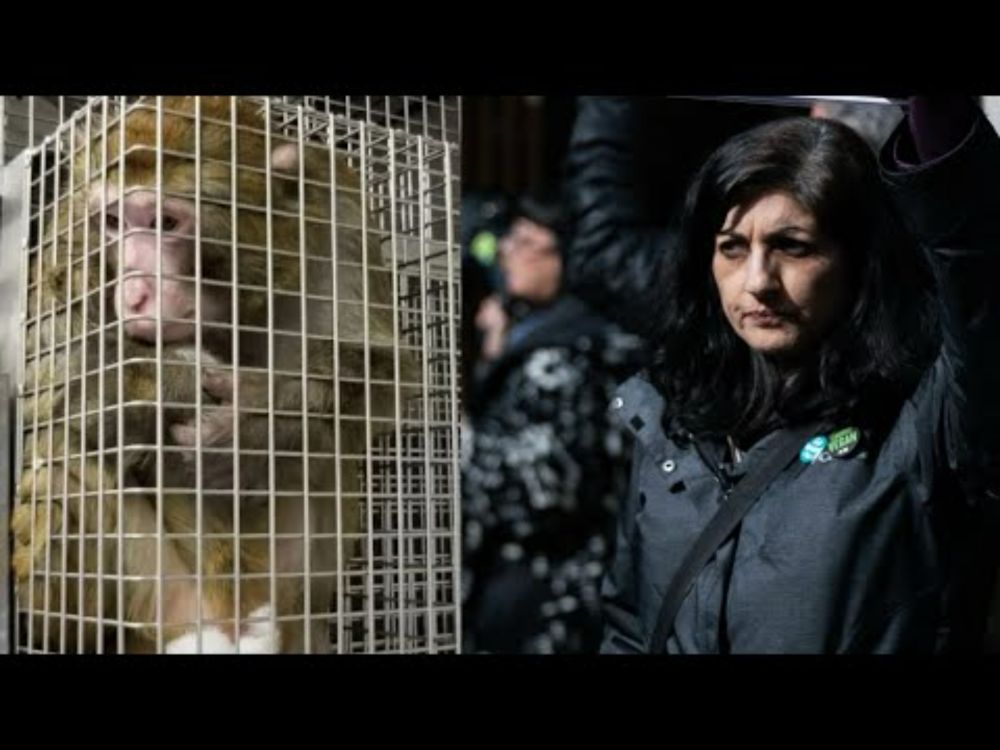 Exposing the Horrors of Animal Testing (with Dr. Alka Chandna)